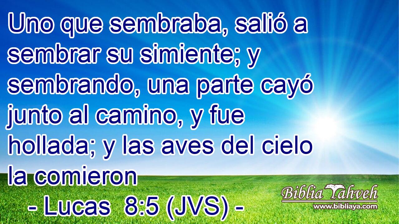 Uno que sembraba, salió a sembrar su simiente; y sembrando, una parte cayó junto al camino, y fue hollada; y las aves del cielo la comieron