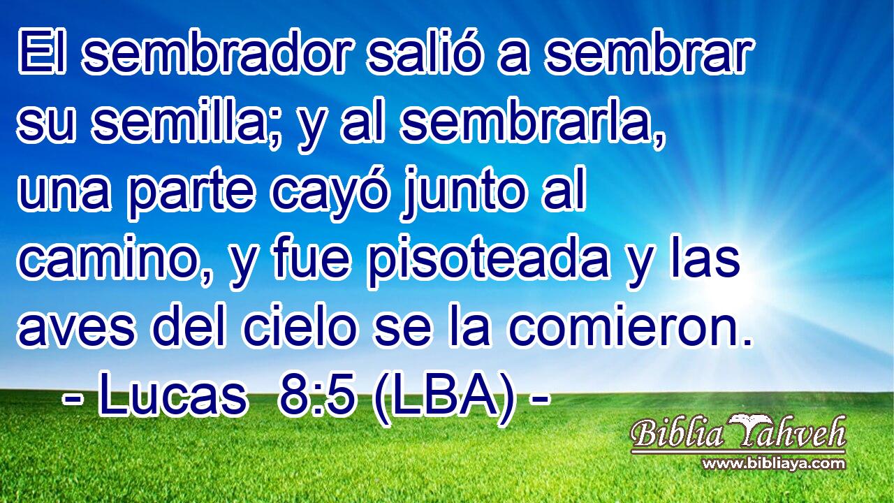 El sembrador salió a sembrar su semilla; y al sembrarla, una parte cayó junto al camino, y fue pisoteada y las aves del cielo se la comieron.