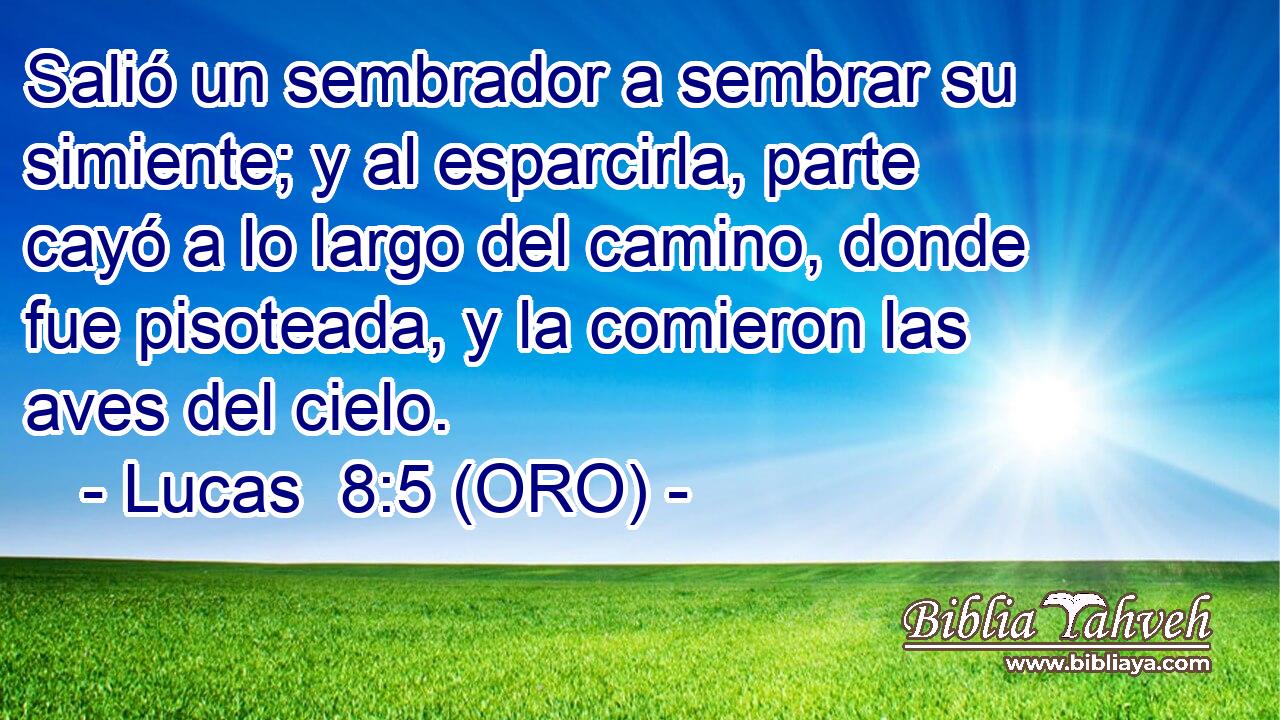  Salió un sembrador a sembrar su simiente; y al esparcirla, parte cayó a lo largo del camino, donde fue pisoteada, y la comieron las aves del cielo. 
