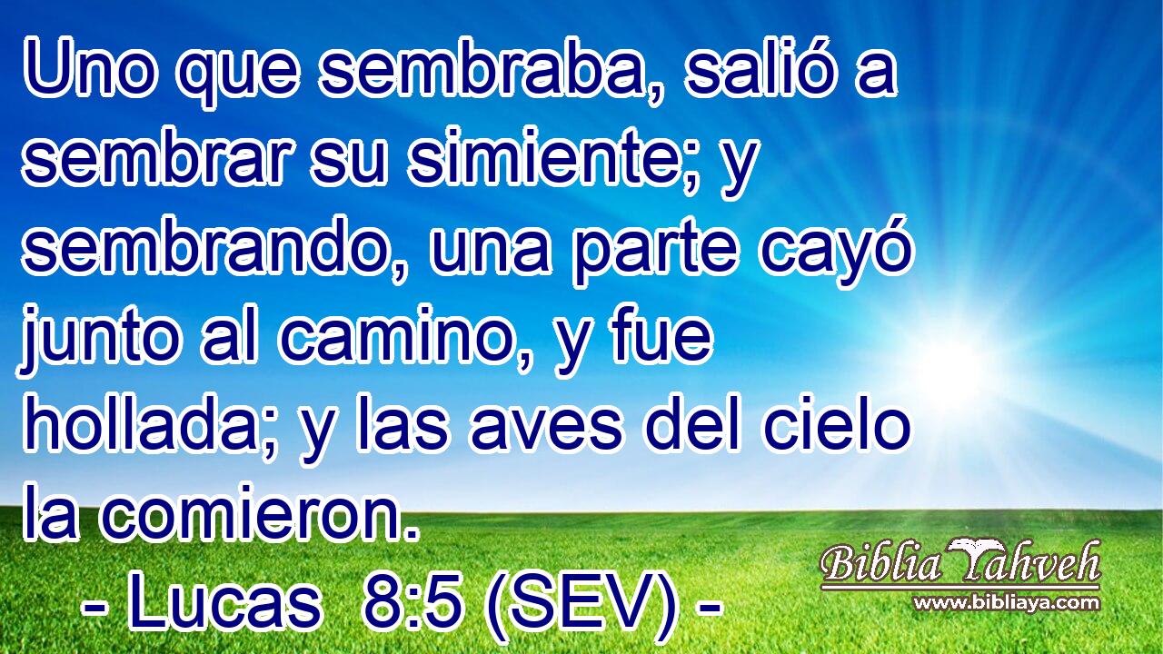 Uno que sembraba, salió a sembrar su simiente; y sembrando, una parte cayó junto al camino, y fue hollada; y las aves del cielo la comieron.