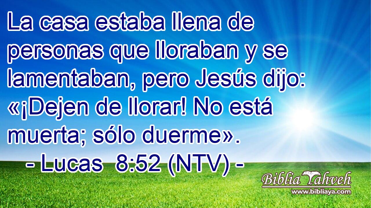 La casa estaba llena de personas que lloraban y se lamentaban, pero Jesús dijo: «¡Dejen de llorar! No está muerta; sólo duerme».