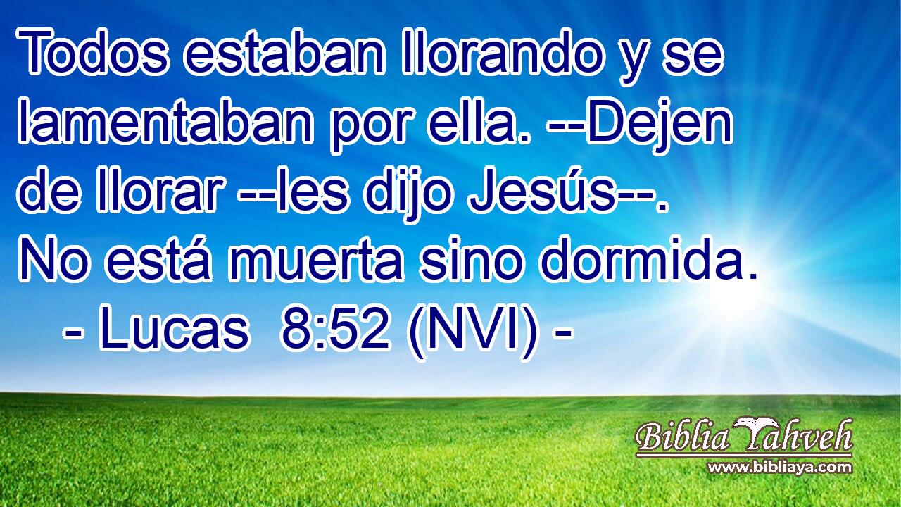  Todos estaban llorando y se lamentaban por ella. --Dejen de llorar --les dijo Jesús--. No está muerta sino dormida. 