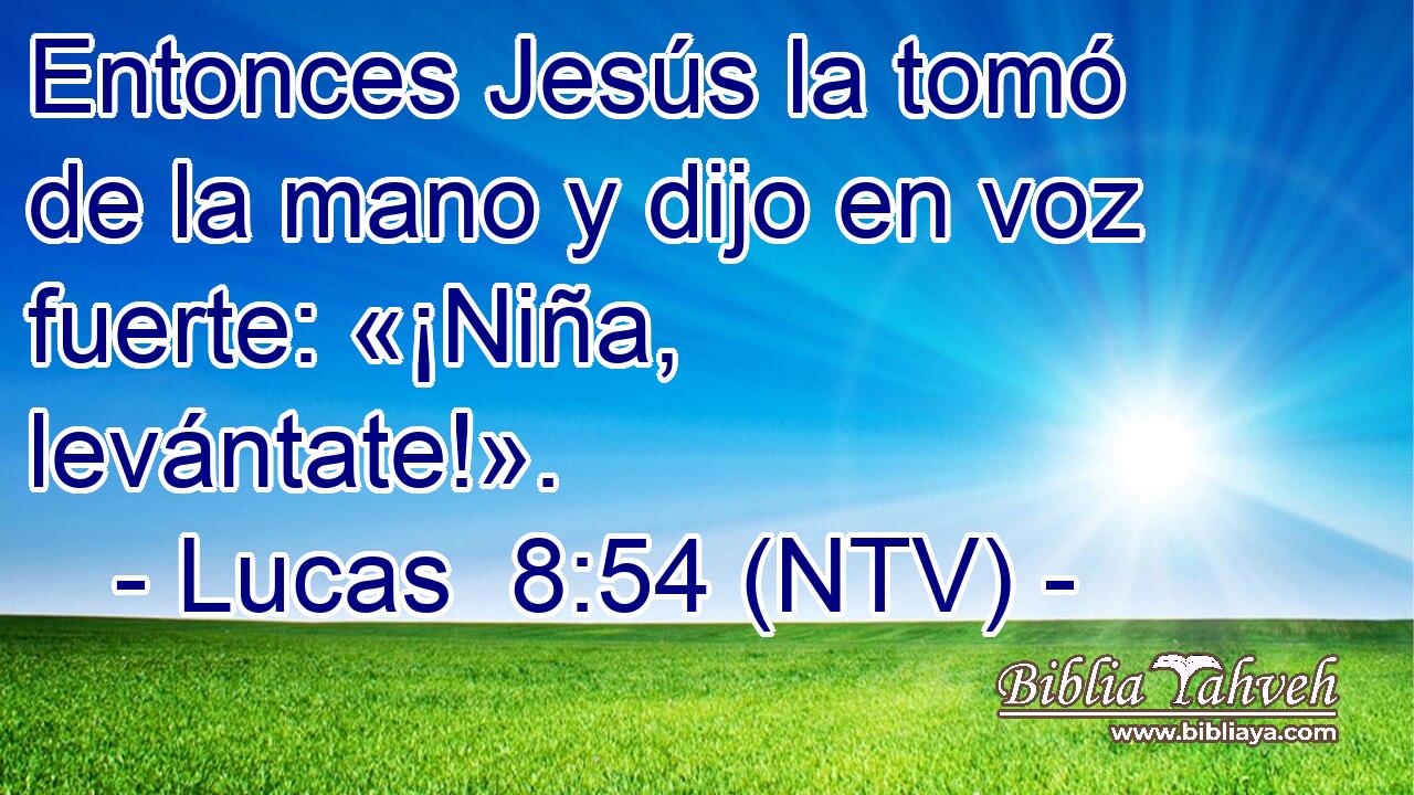 Entonces Jesús la tomó de la mano y dijo en voz fuerte: «¡Niña, levántate!».