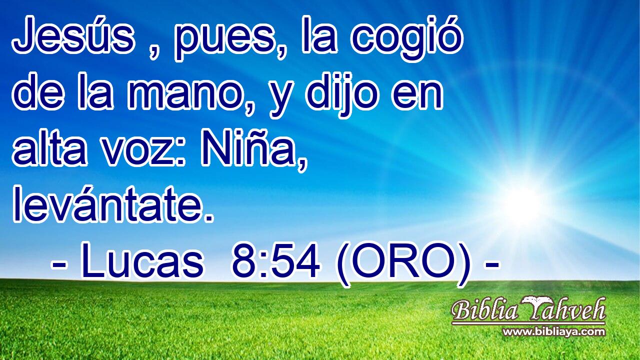  Jesús , pues, la cogió de la mano, y dijo en alta voz: Niña, levántate. 