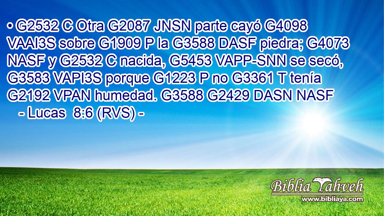 • G2532 C Otra G2087 JNSN parte cayó G4098 VAAI3S sobre G1909 P la G3588 DASF piedra; G4073 NASF y G2532 C nacida, G5453 VAPP-SNN se secó, G3583 VAPI3S porque G1223 P no G3361 T tenía G2192 VPAN humedad. G3588 G2429 DASN NASF 
