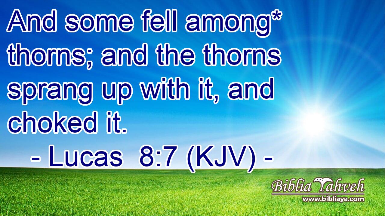 And some fell among* thorns; and the thorns sprang up with it, and choked it.