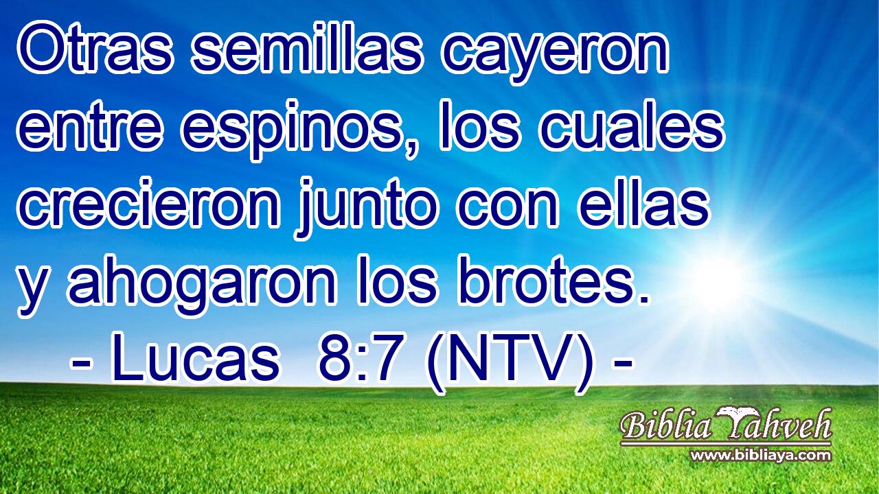 Otras semillas cayeron entre espinos, los cuales crecieron junto con ellas y ahogaron los brotes.