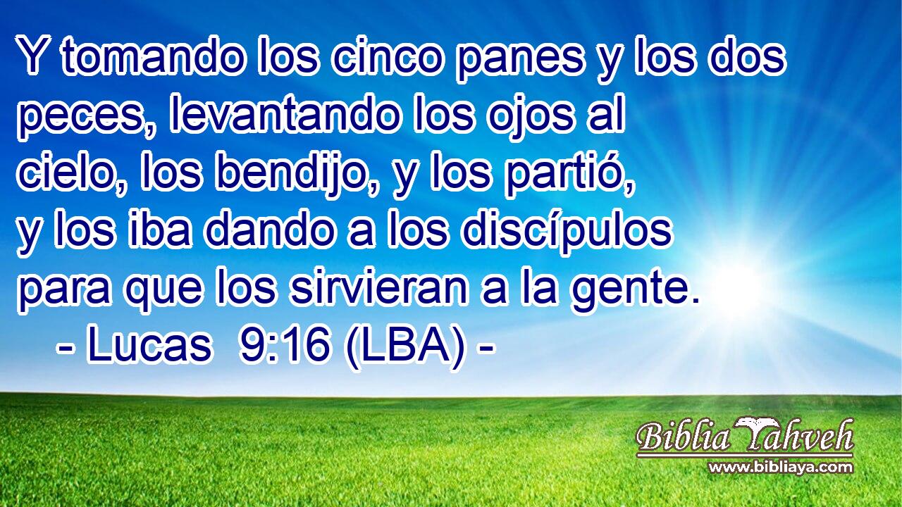 Y tomando los cinco panes y los dos peces, levantando los ojos al cielo, los bendijo, y los partió, y los iba dando a los discípulos para que los sirvieran a la gente.