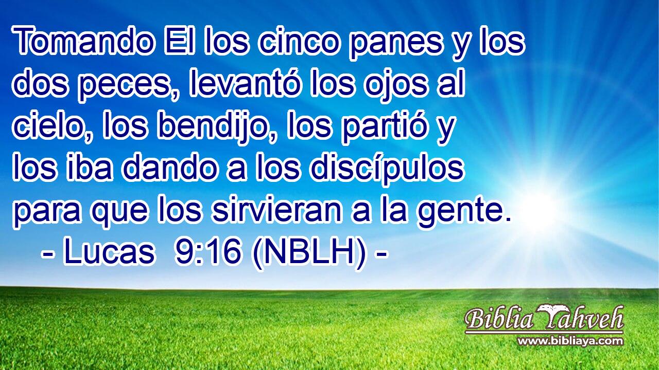  Tomando El los cinco panes y los dos peces, levantó los ojos al cielo, los bendijo, los partió y los iba dando a los discípulos para que los sirvieran a la gente. 