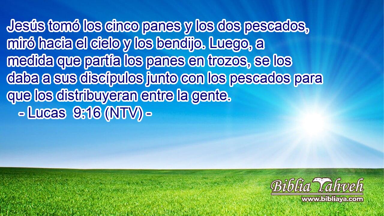 Jesús tomó los cinco panes y los dos pescados, miró hacia el cielo y los bendijo. Luego, a medida que partía los panes en trozos, se los daba a sus discípulos junto con los pescados para que los distribuyeran entre la gente.