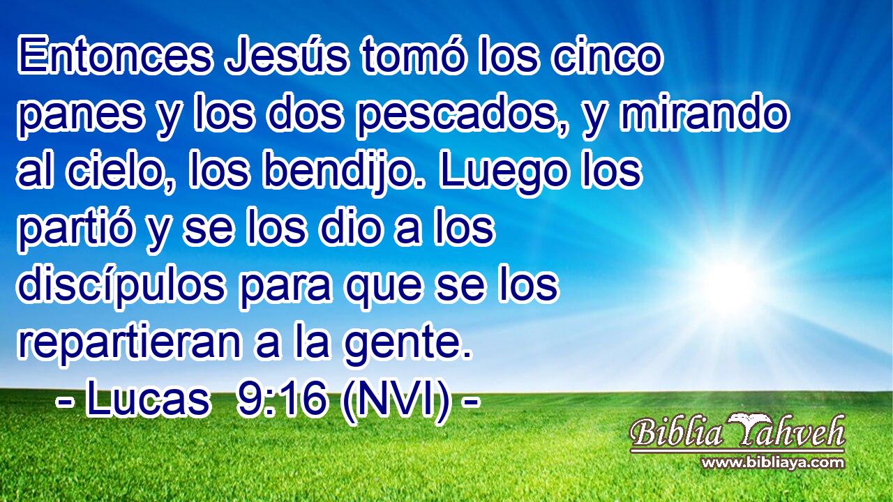  Entonces Jesús tomó los cinco panes y los dos pescados, y mirando al cielo, los bendijo. Luego los partió y se los dio a los discípulos para que se los repartieran a la gente. 