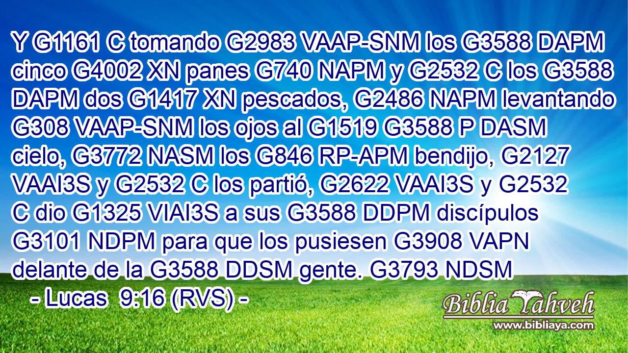 Y G1161 C tomando G2983 VAAP-SNM los G3588 DAPM cinco G4002 XN panes G740 NAPM y G2532 C los G3588 DAPM dos G1417 XN pescados, G2486 NAPM levantando G308 VAAP-SNM los ojos al G1519 G3588 P DASM cielo, G3772 NASM los G846 RP-APM bendijo, G2127 VAAI3S y G2532 C los partió, G2622 VAAI3S y G2532 C dio G1325 VIAI3S a sus G3588 DDPM discípulos G3101 NDPM para que los pusiesen G3908 VAPN delante de la G3588 DDSM gente. G3793 NDSM 