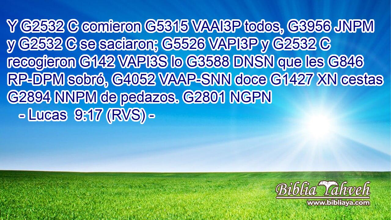 Y G2532 C comieron G5315 VAAI3P todos, G3956 JNPM y G2532 C se saciaron; G5526 VAPI3P y G2532 C recogieron G142 VAPI3S lo G3588 DNSN que les G846 RP-DPM sobró, G4052 VAAP-SNN doce G1427 XN cestas G2894 NNPM de pedazos. G2801 NGPN 