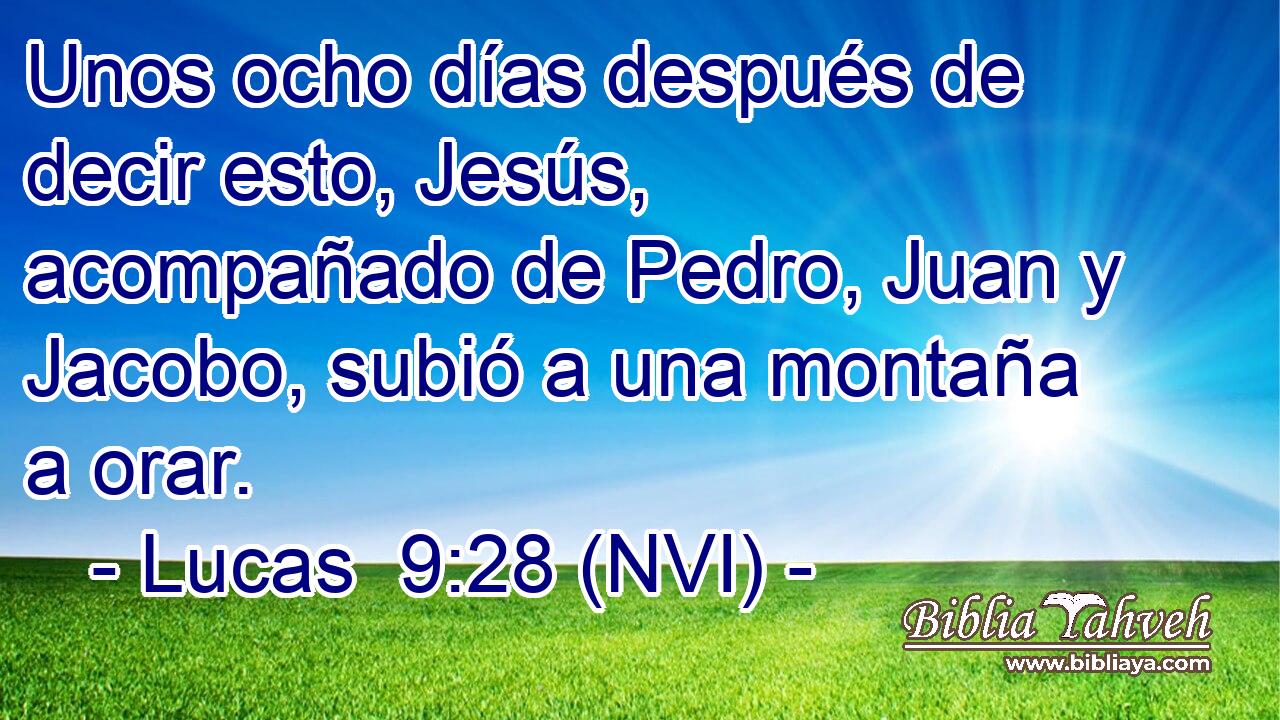  Unos ocho días después de decir esto, Jesús, acompañado de Pedro, Juan y Jacobo, subió a una montaña a orar. 