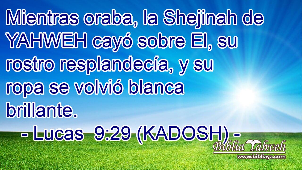  Mientras oraba, la Shejinah de YAHWEH cayó sobre El, su rostro resplandecía, y su ropa se volvió blanca brillante. 