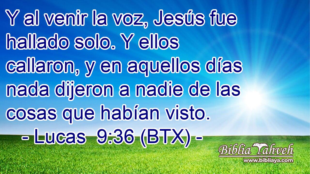 Y al venir la voz, Jesús fue hallado solo. Y ellos callaron, y en aquellos días nada dijeron a nadie de las cosas que habían visto.
