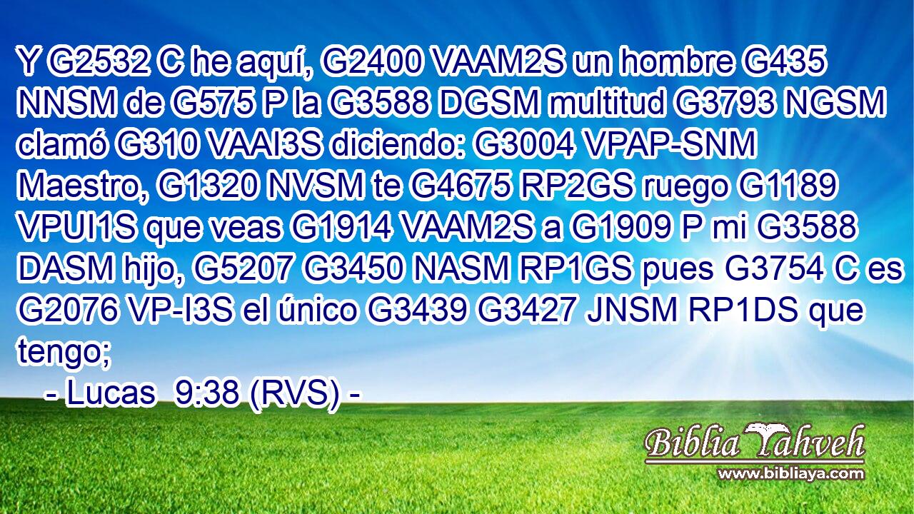 Y G2532 C he aquí, G2400 VAAM2S un hombre G435 NNSM de G575 P la G3588 DGSM multitud G3793 NGSM clamó G310 VAAI3S diciendo: G3004 VPAP-SNM Maestro, G1320 NVSM te G4675 RP2GS ruego G1189 VPUI1S que veas G1914 VAAM2S a G1909 P mi G3588 DASM hijo, G5207 G3450 NASM RP1GS pues G3754 C es G2076 VP-I3S el único G3439 G3427 JNSM RP1DS que tengo; 