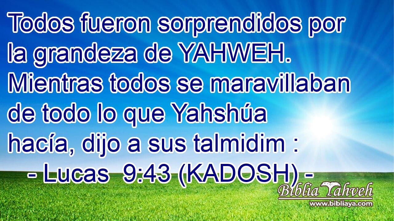  Todos fueron sorprendidos por la grandeza de YAHWEH. Mientras todos se maravillaban de todo lo que Yahshúa hacía, dijo a sus talmidim : 