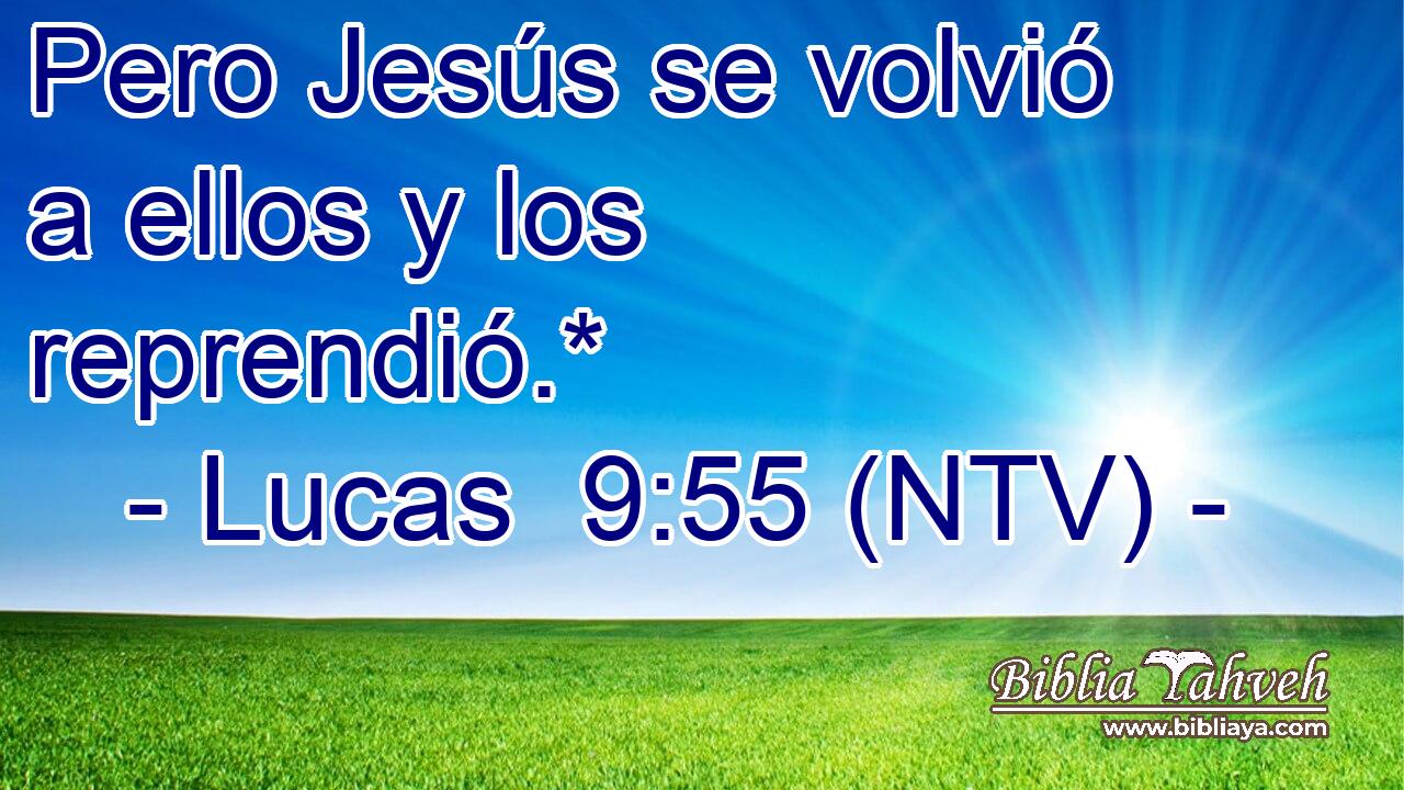 Pero Jesús se volvió a ellos y los reprendió.*