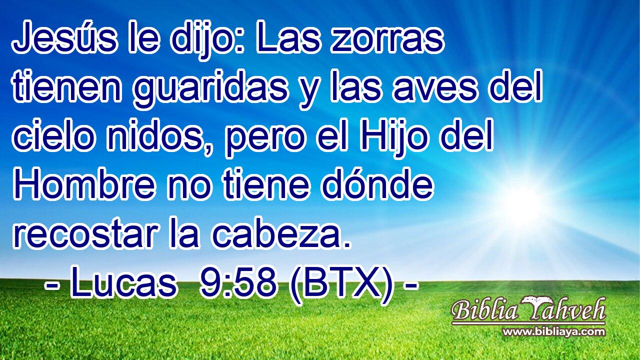 Jesús le dijo: Las zorras tienen guaridas y las aves del cielo nidos, pero el Hijo del Hombre no tiene dónde recostar la cabeza.