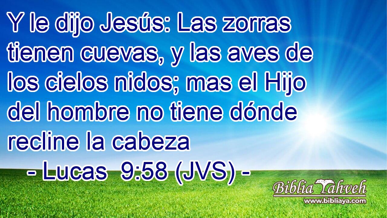 Y le dijo Jesús: Las zorras tienen cuevas, y las aves de los cielos nidos; mas el Hijo del hombre no tiene dónde recline la cabeza