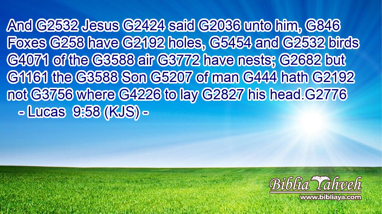 And G2532 Jesus G2424 said G2036 unto him, G846 Foxes G258 have G2192 holes, G5454 and G2532 birds G4071 of the G3588 air G3772 have nests; G2682 but G1161 the G3588 Son G5207 of man G444 hath G2192 not G3756 where G4226 to lay G2827 his head.G2776