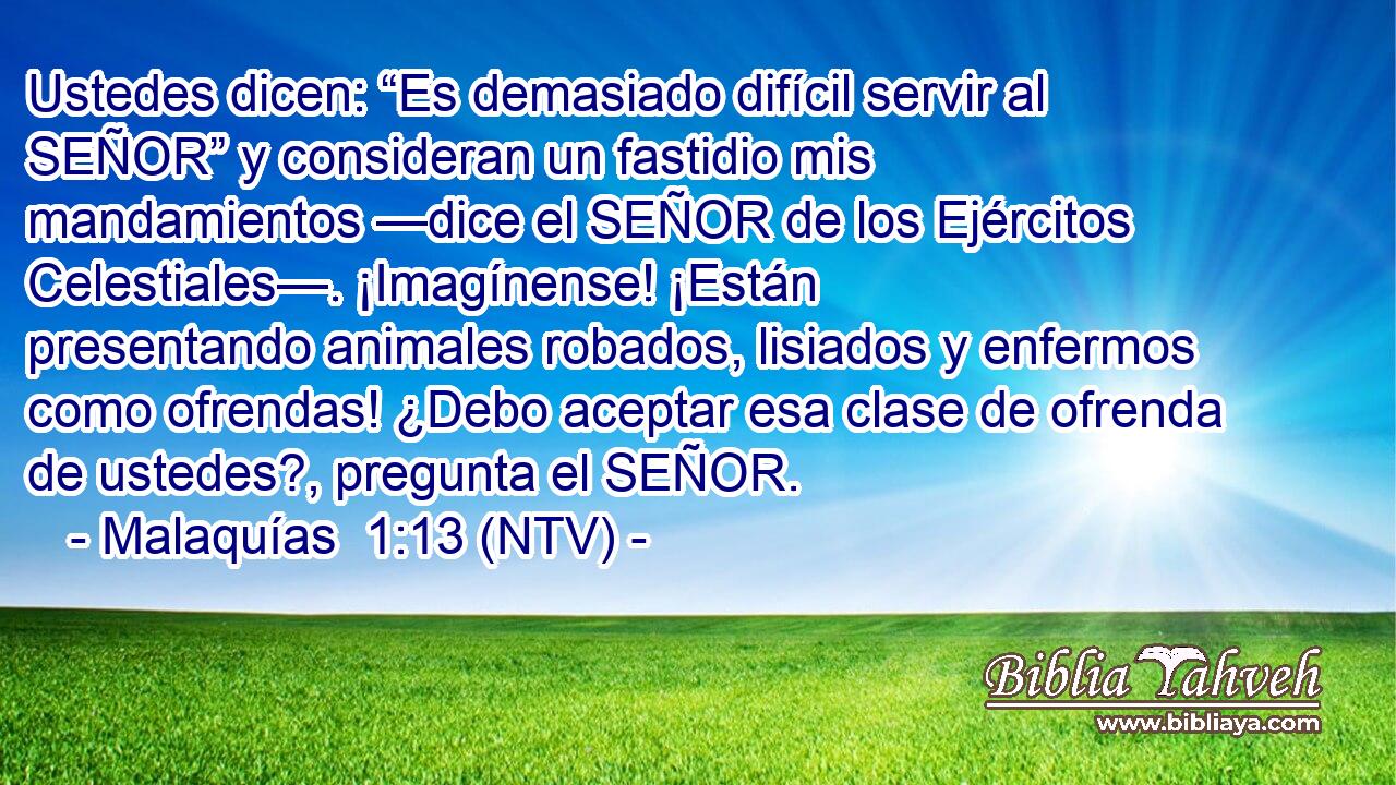 Ustedes dicen: “Es demasiado difícil servir al SEÑOR” y consideran un fastidio mis mandamientos —dice el SEÑOR de los Ejércitos Celestiales—. ¡Imagínense! ¡Están presentando animales robados, lisiados y enfermos como ofrendas! ¿Debo aceptar esa clase de ofrenda de ustedes?, pregunta el SEÑOR.