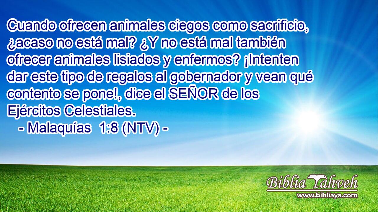 Cuando ofrecen animales ciegos como sacrificio, ¿acaso no está mal? ¿Y no está mal también ofrecer animales lisiados y enfermos? ¡Intenten dar este tipo de regalos al gobernador y vean qué contento se pone!, dice el SEÑOR de los Ejércitos Celestiales.