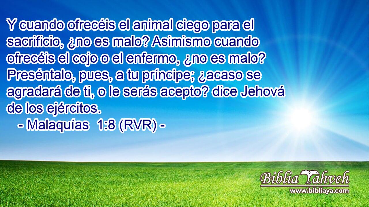 Y cuando ofrecéis el animal ciego para el sacrificio, ¿no es malo? Asimismo cuando ofrecéis el cojo o el enfermo, ¿no es malo? Preséntalo, pues, a tu príncipe; ¿acaso se agradará de ti, o le serás acepto? dice Jehová de los ejércitos.