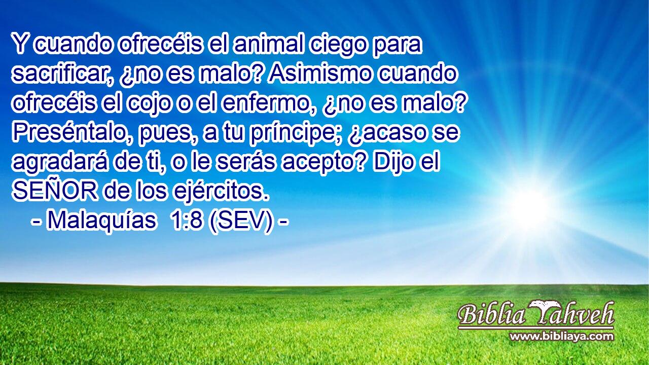 Y cuando ofrecéis el animal ciego para sacrificar, ¿no es malo? Asimismo cuando ofrecéis el cojo o el enfermo, ¿no es malo? Preséntalo, pues, a tu príncipe; ¿acaso se agradará de ti, o le serás acepto? Dijo el SEÑOR de los ejércitos.