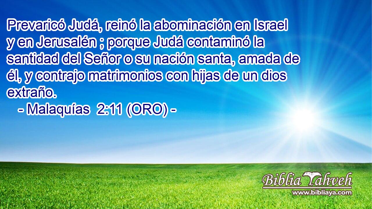  Prevaricó Judá, reinó la abominación en Israel y en Jerusalén ; porque Judá contaminó la santidad del Señor o su nación santa, amada de él, y contrajo matrimonios con hijas de un dios extraño. 
