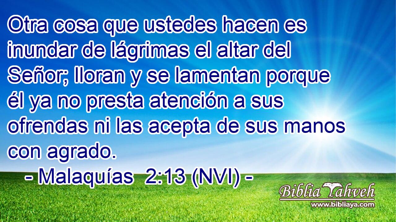  Otra cosa que ustedes hacen es inundar de lágrimas el altar del Señor; lloran y se lamentan porque él ya no presta atención a sus ofrendas ni las acepta de sus manos con agrado. 