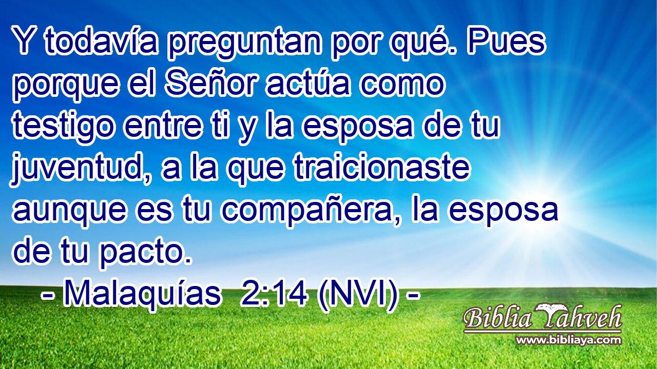  Y todavía preguntan por qué. Pues porque el Señor actúa como testigo entre ti y la esposa de tu juventud, a la que traicionaste aunque es tu compañera, la esposa de tu pacto. 