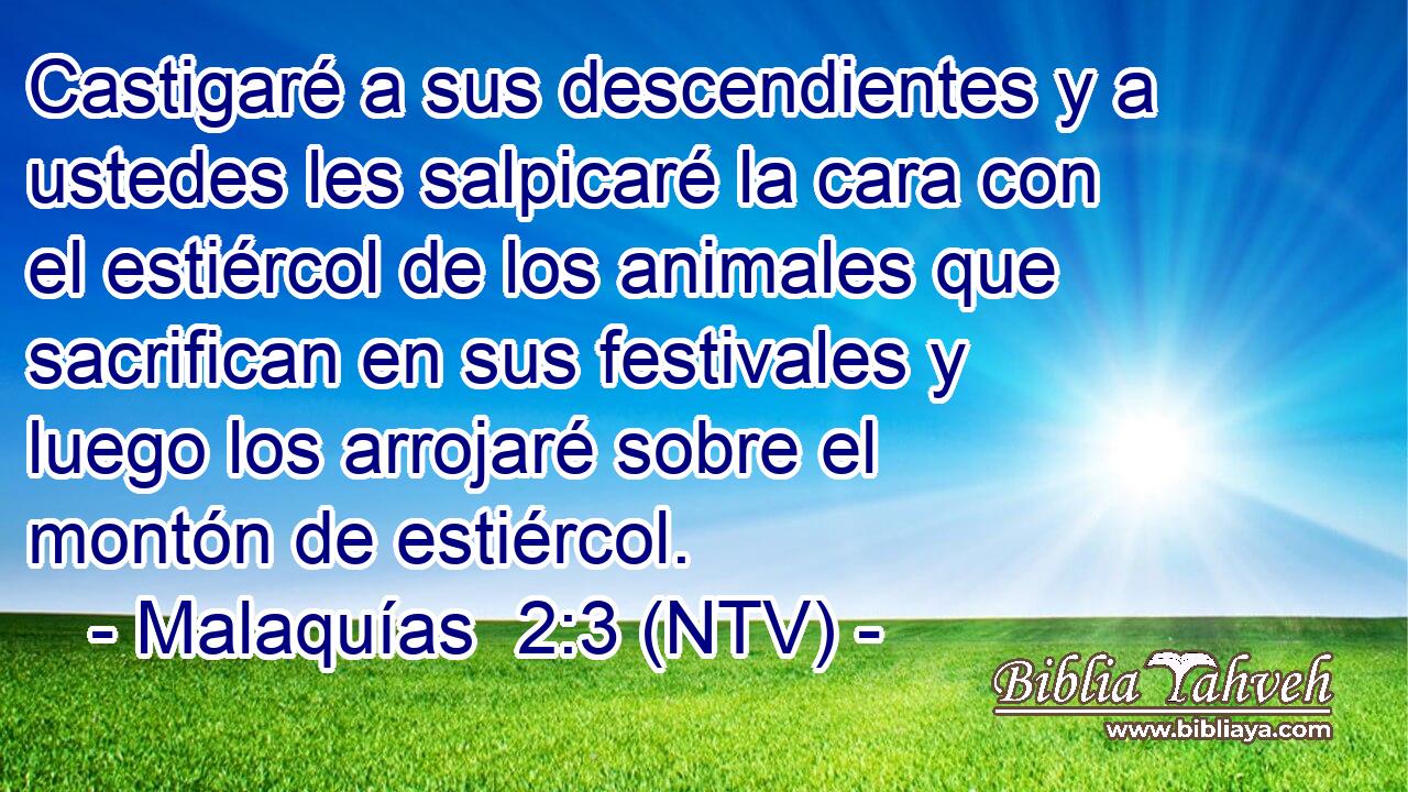 Castigaré a sus descendientes y a ustedes les salpicaré la cara con el estiércol de los animales que sacrifican en sus festivales y luego los arrojaré sobre el montón de estiércol.