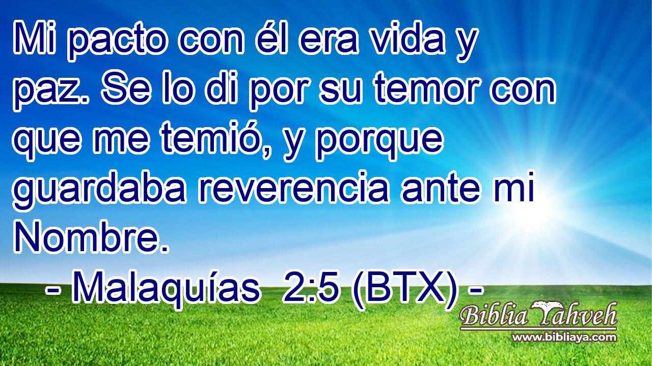 Mi pacto con él era vida y paz. Se lo di por su temor con que me temió, y porque guardaba reverencia ante mi Nombre.