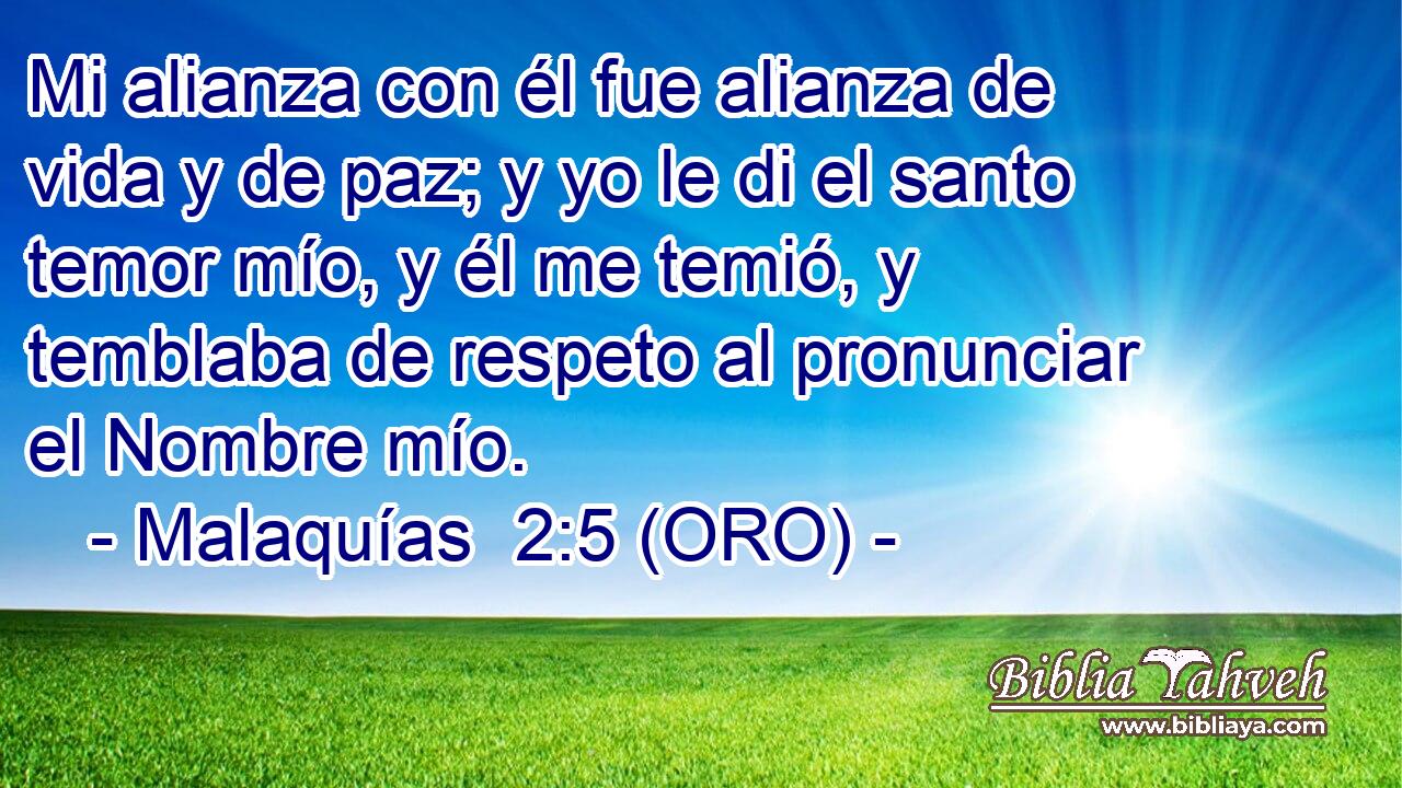 Mi alianza con él fue alianza de vida y de paz; y yo le di el santo temor mío, y él me temió, y temblaba de respeto al pronunciar el Nombre mío. 