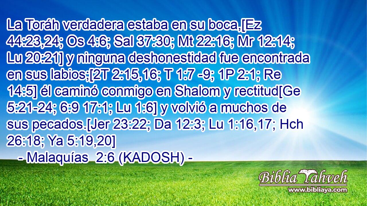 La Toráh verdadera estaba en su boca,[Ez 44:23,24; Os 4:6; Sal 37:30; Mt 22:16; Mr 12:14; Lu 20:21] y ninguna deshonestidad fue encontrada en sus labios;[2T 2:15,16; T 1:7 -9; 1P 2:1; Re 14:5] él caminó conmigo en Shalom y rectitud[Ge 5:21-24; 6:9 17:1; Lu 1:6] y volvió a muchos de sus pecados.[Jer 23:22; Da 12:3; Lu 1:16,17; Hch 26:18; Ya 5:19,20] 