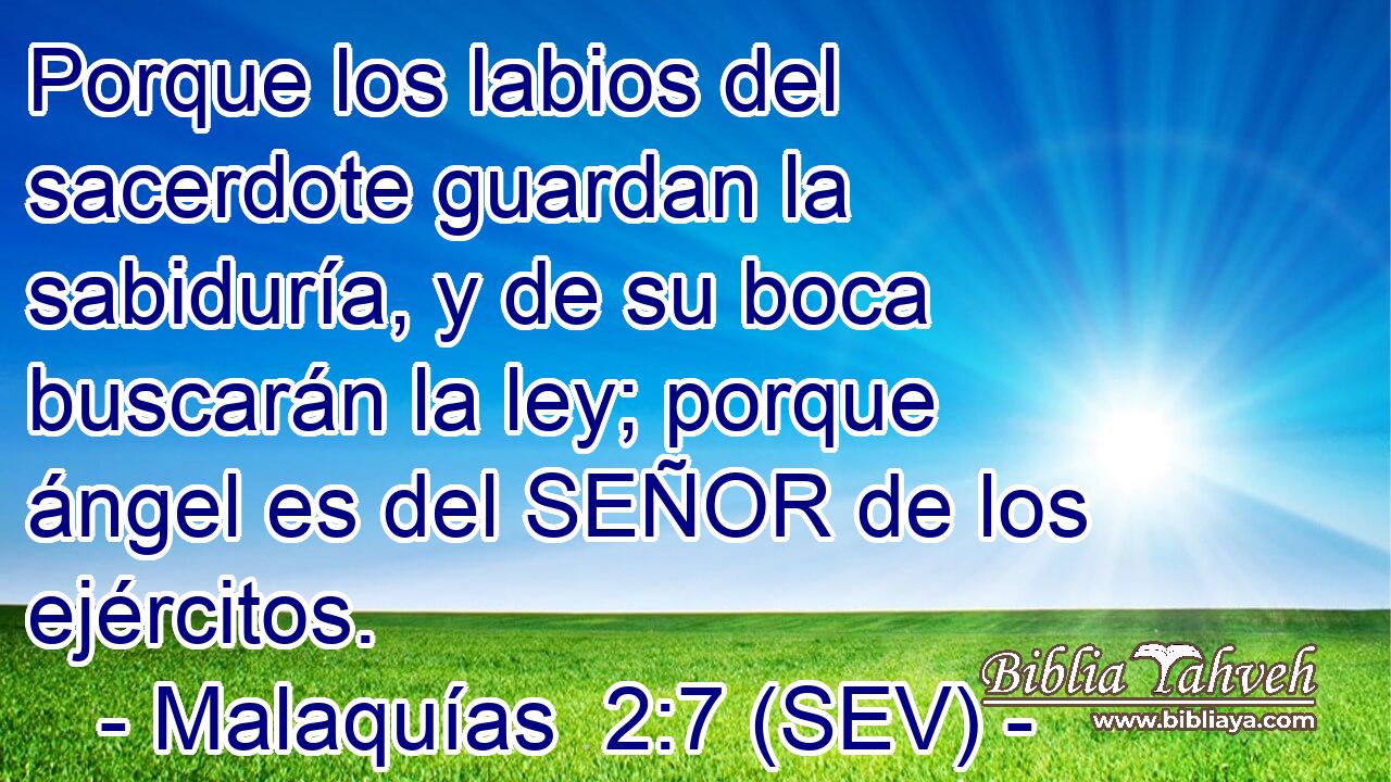 Porque los labios del sacerdote guardan la sabiduría, y de su boca buscarán la ley; porque ángel es del SEÑOR de los ejércitos.