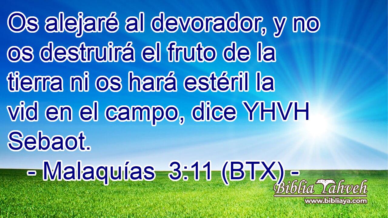 Os alejaré al devorador, y no os destruirá el fruto de la tierra ni os hará estéril la vid en el campo, dice YHVH Sebaot.
