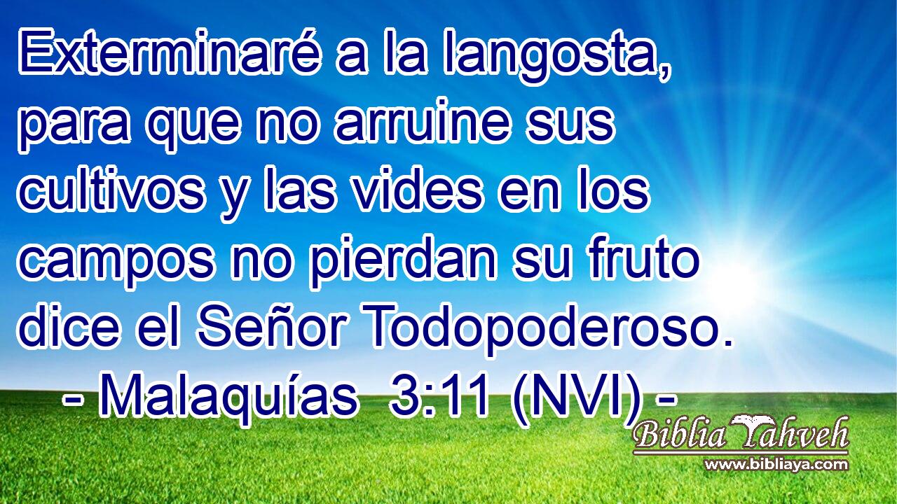  Exterminaré a la langosta, para que no arruine sus cultivos y las vides en los campos no pierdan su fruto dice el Señor Todopoderoso. 