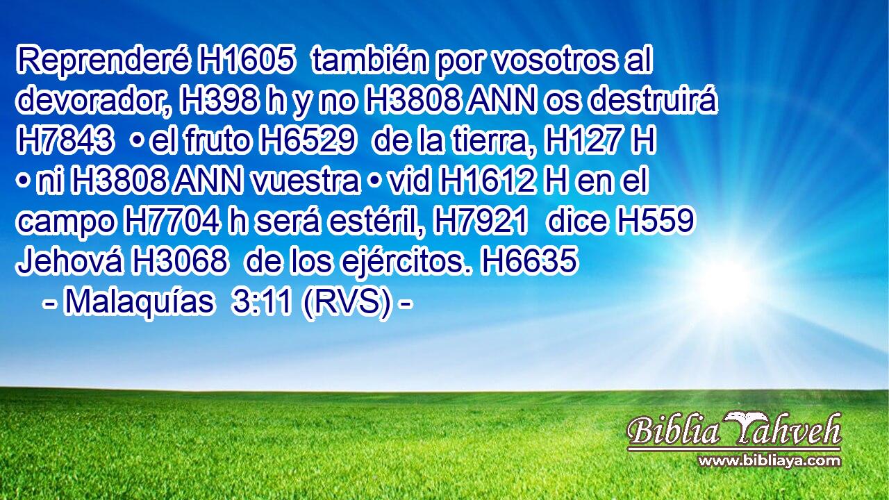 Reprenderé H1605  también por vosotros al devorador, H398 h y no H3808 ANN os destruirá H7843  • el fruto H6529  de la tierra, H127 H • ni H3808 ANN vuestra • vid H1612 H en el campo H7704 h será estéril, H7921  dice H559  Jehová H3068  de los ejércitos. H6635  