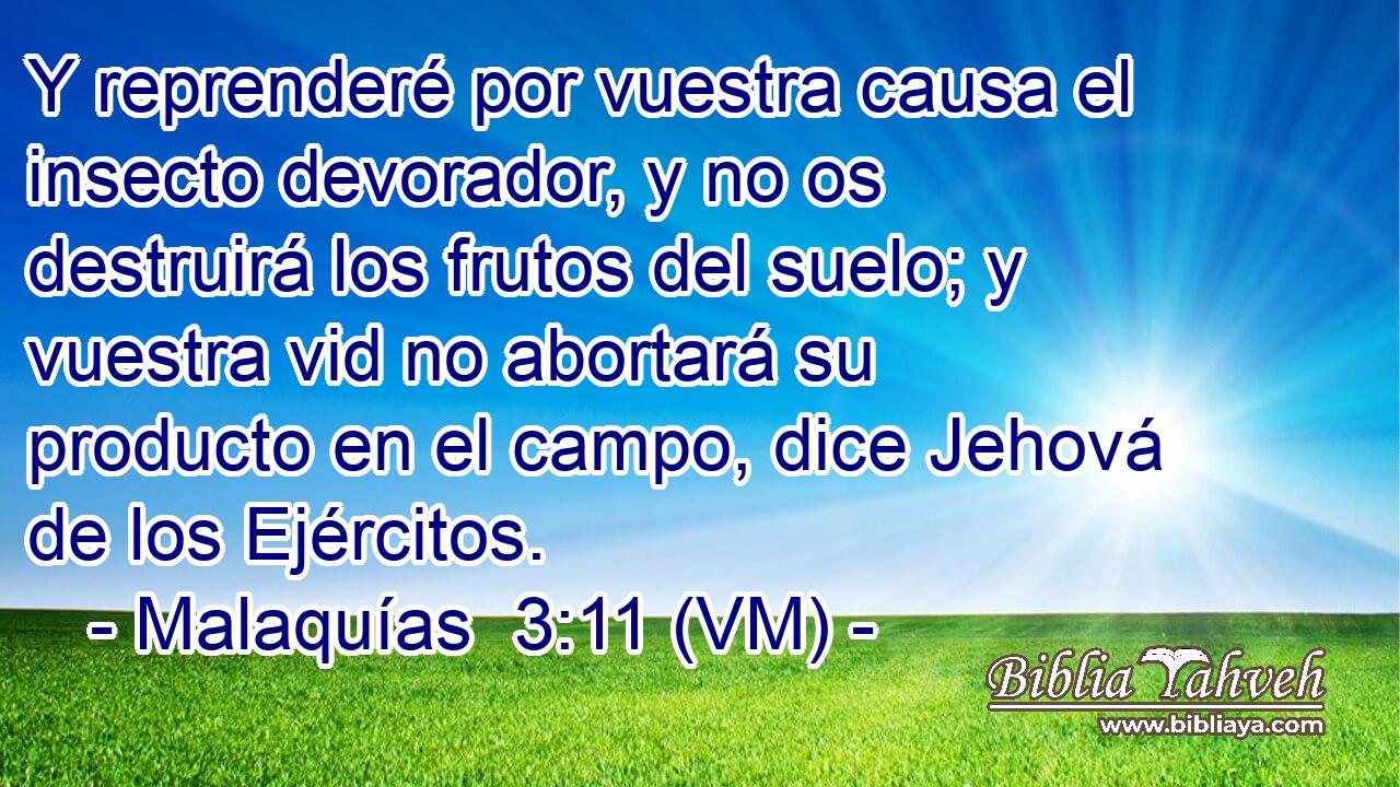  Y reprenderé por vuestra causa el insecto devorador, y no os destruirá los frutos del suelo; y vuestra vid no abortará su producto en el campo, dice Jehová de los Ejércitos. 