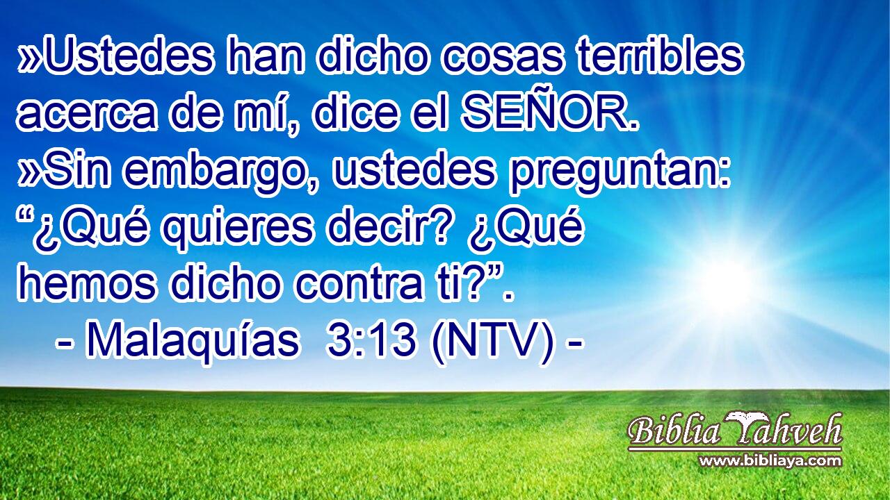 »Ustedes han dicho cosas terribles acerca de mí, dice el SEÑOR. »Sin embargo, ustedes preguntan: “¿Qué quieres decir? ¿Qué hemos dicho contra ti?”.