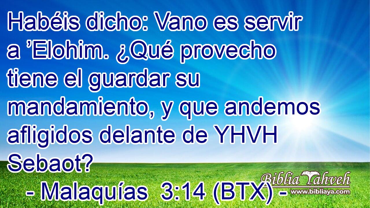 Habéis dicho: Vano es servir a ’Elohim. ¿Qué provecho tiene el guardar su mandamiento, y que andemos afligidos delante de YHVH Sebaot?