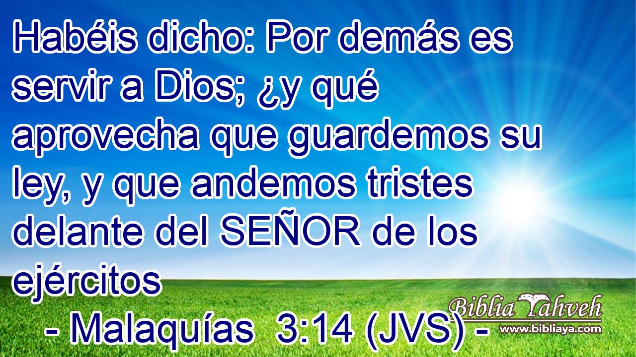 Habéis dicho: Por demás es servir a Dios; ¿y qué aprovecha que guardemos su ley, y que andemos tristes delante del SEÑOR de los ejércitos