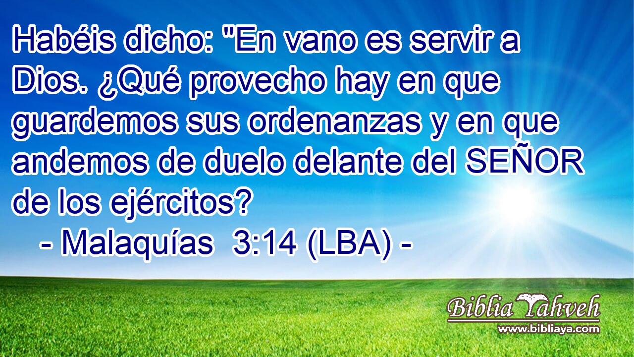 Habéis dicho: 