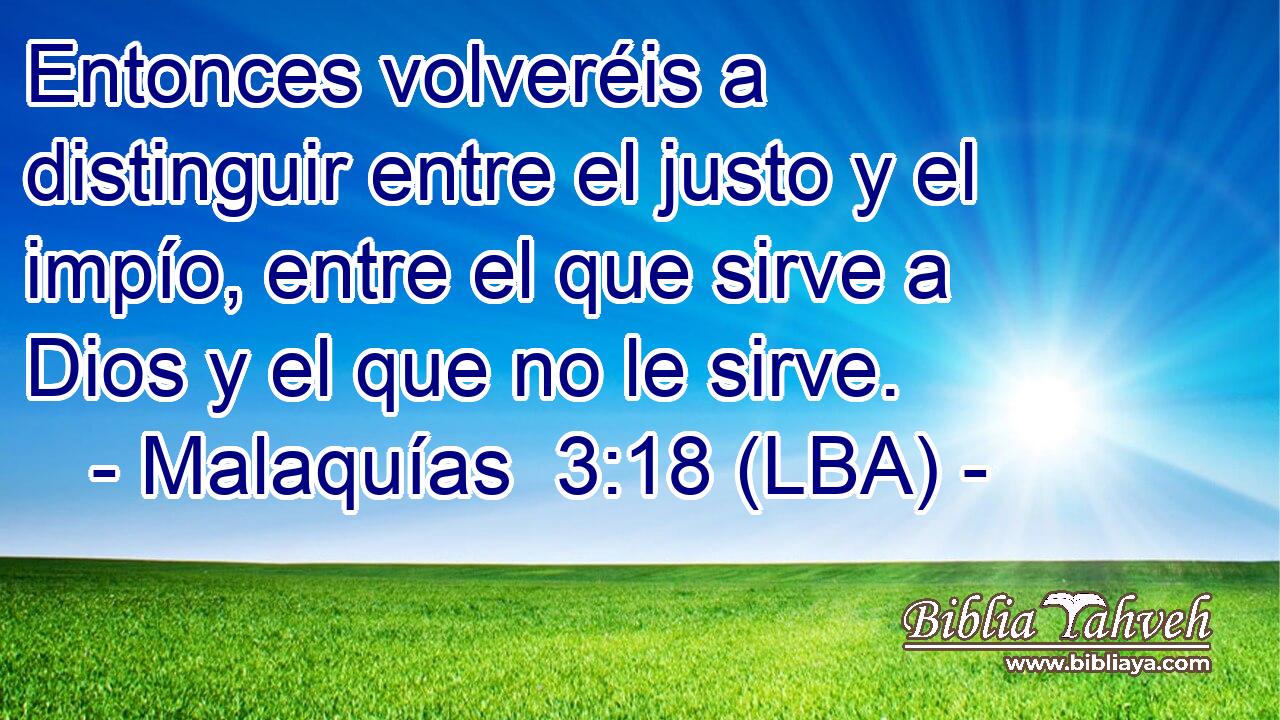 Entonces volveréis a distinguir entre el justo y el impío, entre el que sirve a Dios y el que no le sirve.
