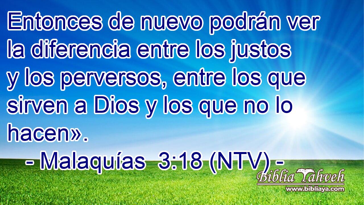 Entonces de nuevo podrán ver la diferencia entre los justos y los perversos, entre los que sirven a Dios y los que no lo hacen».