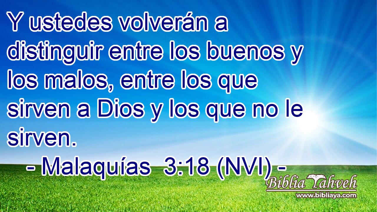  Y ustedes volverán a distinguir entre los buenos y los malos, entre los que sirven a Dios y los que no le sirven. 