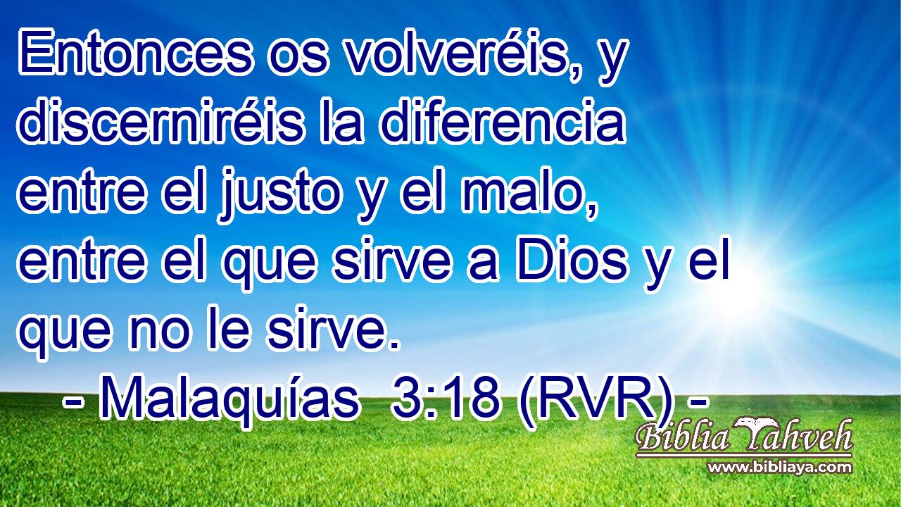 Entonces os volveréis, y discerniréis la diferencia entre el justo y el malo, entre el que sirve a Dios y el que no le sirve.